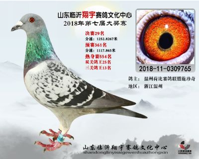山东翔宇决赛29名
