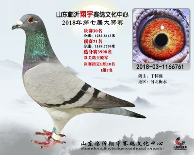 山东翔宇决赛30名