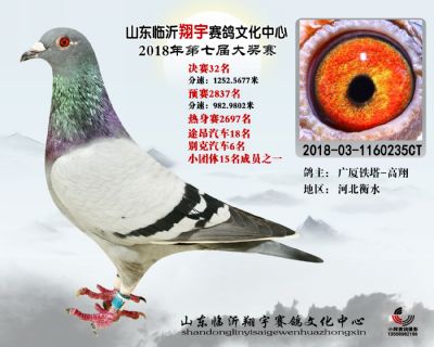 山东翔宇决赛32名