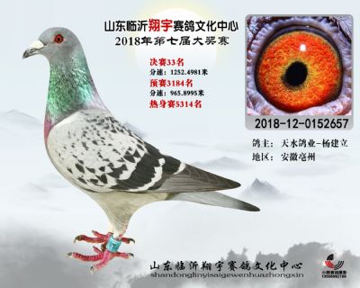 山东翔宇决赛33名