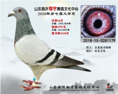 山东翔宇决赛36名