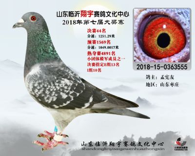 山东翔宇决赛44名