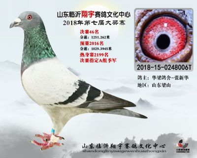 山东翔宇决赛46名