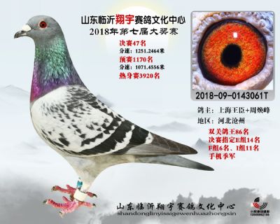 山东翔宇决赛47名