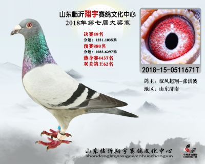 山东翔宇决赛49名