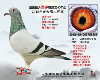 山东翔宇决赛50名