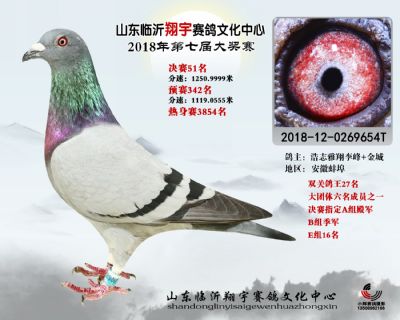 山东翔宇决赛51名