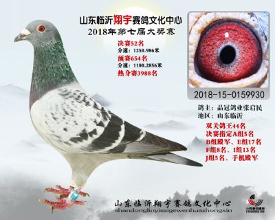 山东翔宇决赛52名