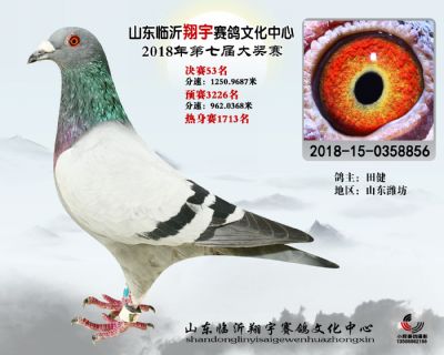 山东翔宇决赛53名