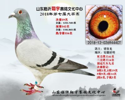 山东翔宇决赛59名