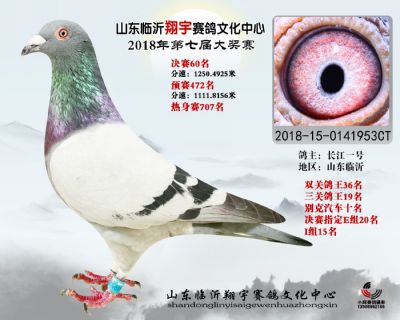 山东翔宇决赛60名