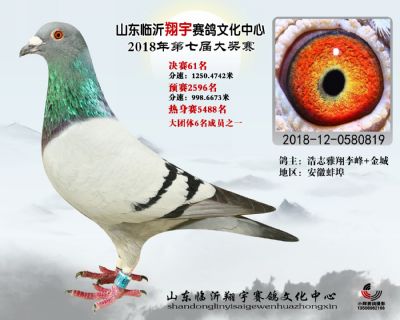 山东翔宇决赛61名