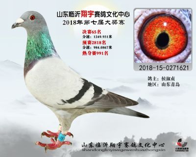 山东翔宇决赛65名