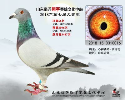 山东翔宇决赛66名
