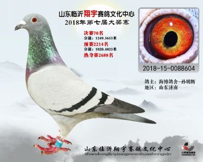 山东翔宇决赛70名