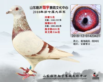 山东翔宇决赛72名