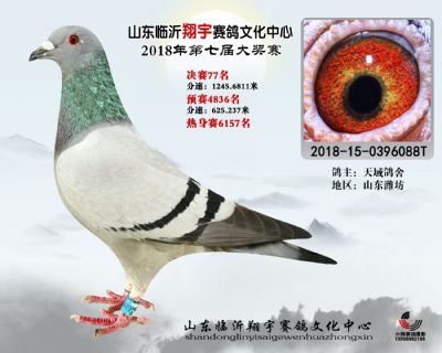 山东翔宇决赛77名