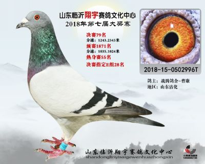 山东翔宇决赛79名