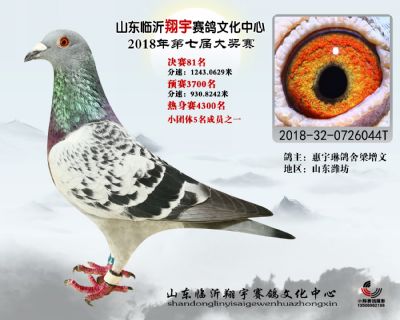 山东翔宇决赛81名