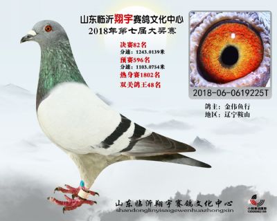 山东翔宇决赛82名