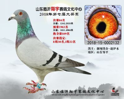 山东翔宇决赛84名