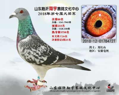 山东翔宇决赛88名