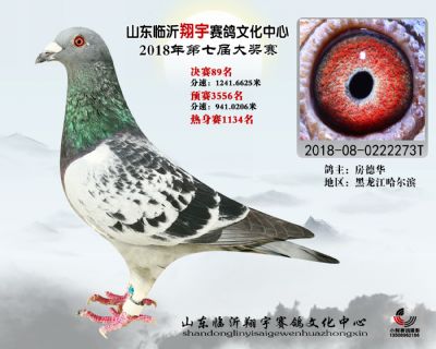 山东翔宇决赛89名