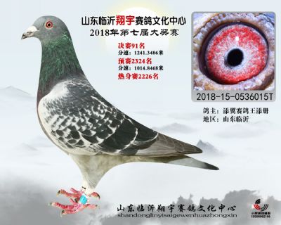 山东翔宇决赛91名