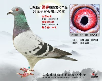 山东翔宇决赛92名