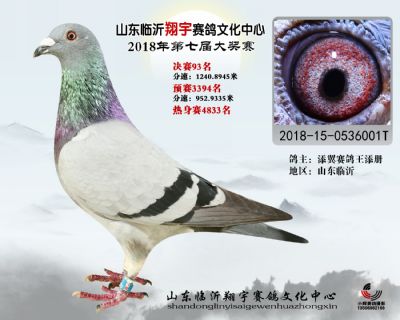 山东翔宇决赛93名
