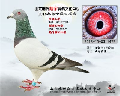 山东翔宇决赛94名