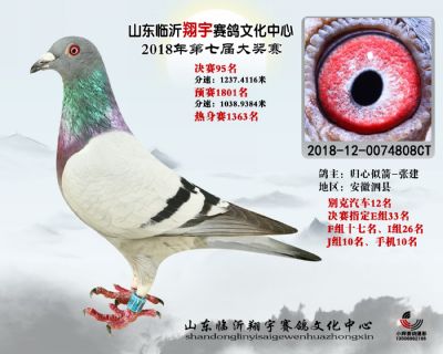 山东翔宇决赛95名