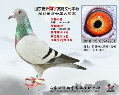山东翔宇决赛96名