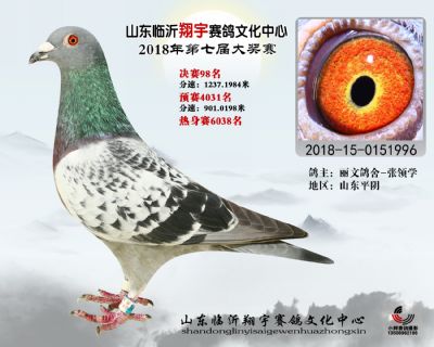 山东翔宇决赛98名