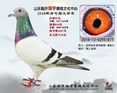 山东翔宇决赛99名
