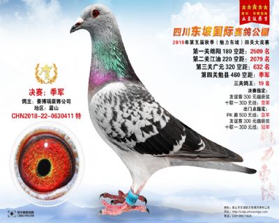 四川东坡决赛季军