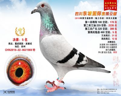 四川东坡决赛5名