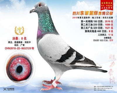 四川东坡决赛8名