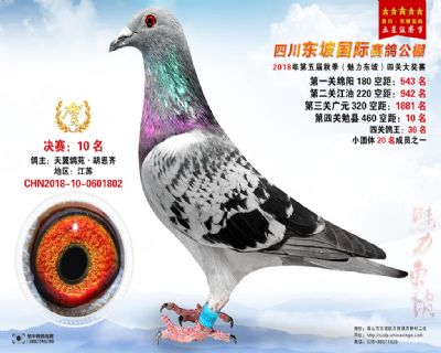 四川东坡决赛10名