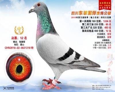 四川东坡决赛12名