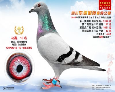 四川东坡决赛13名
