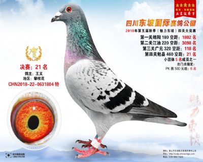 四川东坡决赛21名