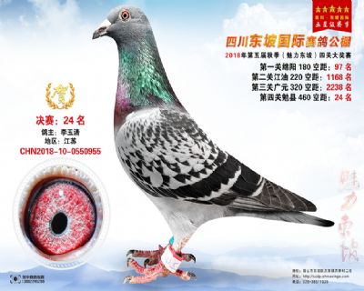 四川东坡决赛24名