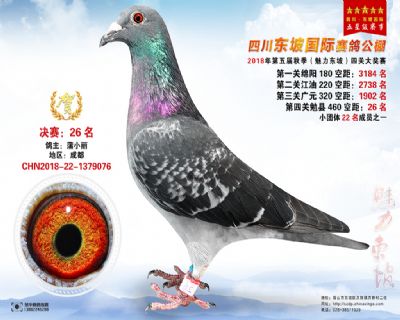四川东坡决赛26名