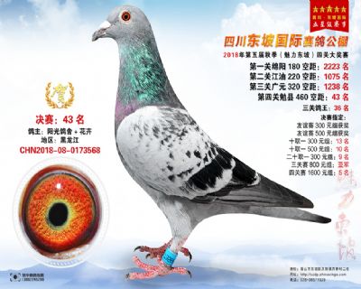 四川东坡决赛43名