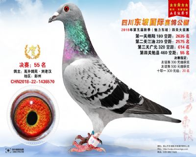 四川东坡决赛55名