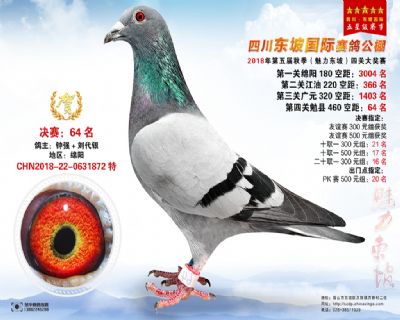 四川东坡决赛64名
