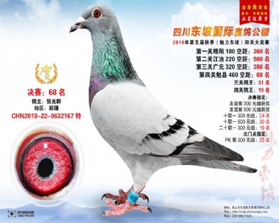四川东坡决赛68名