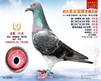 四川东坡决赛70名