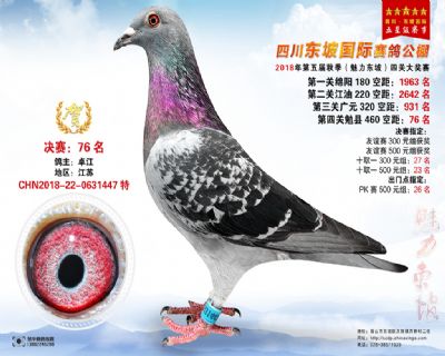 四川东坡决赛76名